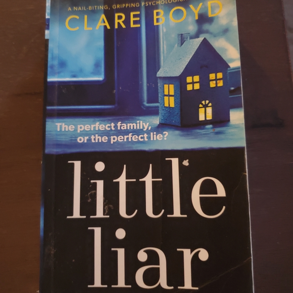 "Little Liar" Book